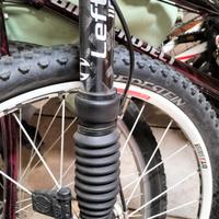 bicicletta  montambaych monoforca 