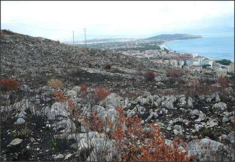 Terreno Agricolo a Formia