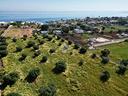 ter-agricolo-a-polignano-a-mare