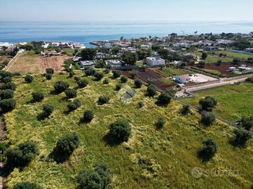 TER. AGRICOLO A POLIGNANO A MARE