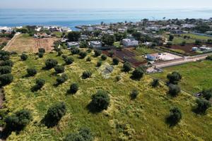 TER. AGRICOLO A POLIGNANO A MARE