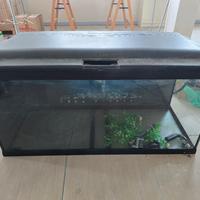  Acquario Ferplast Cayman 110 Professio 230 Litri