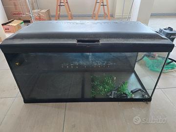  Acquario Ferplast Cayman 110 Professio 230 Litri