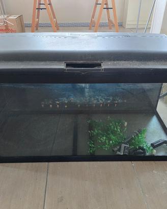 Acquario Ferplast Cayman 110 Professio 230 Litri