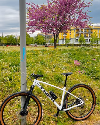 Bici MTB Trek marlin 7