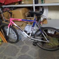 Bicicletta mountain bike