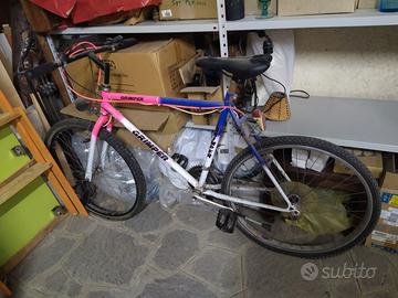 Bicicletta mountain bike