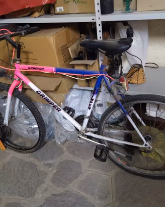 Bicicletta mountain bike