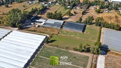 Sabaudia (LT) - Terreno di 2 HA con serre | TR427