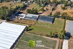 Sabaudia (LT) - Terreno di 2 HA con serre | TR427