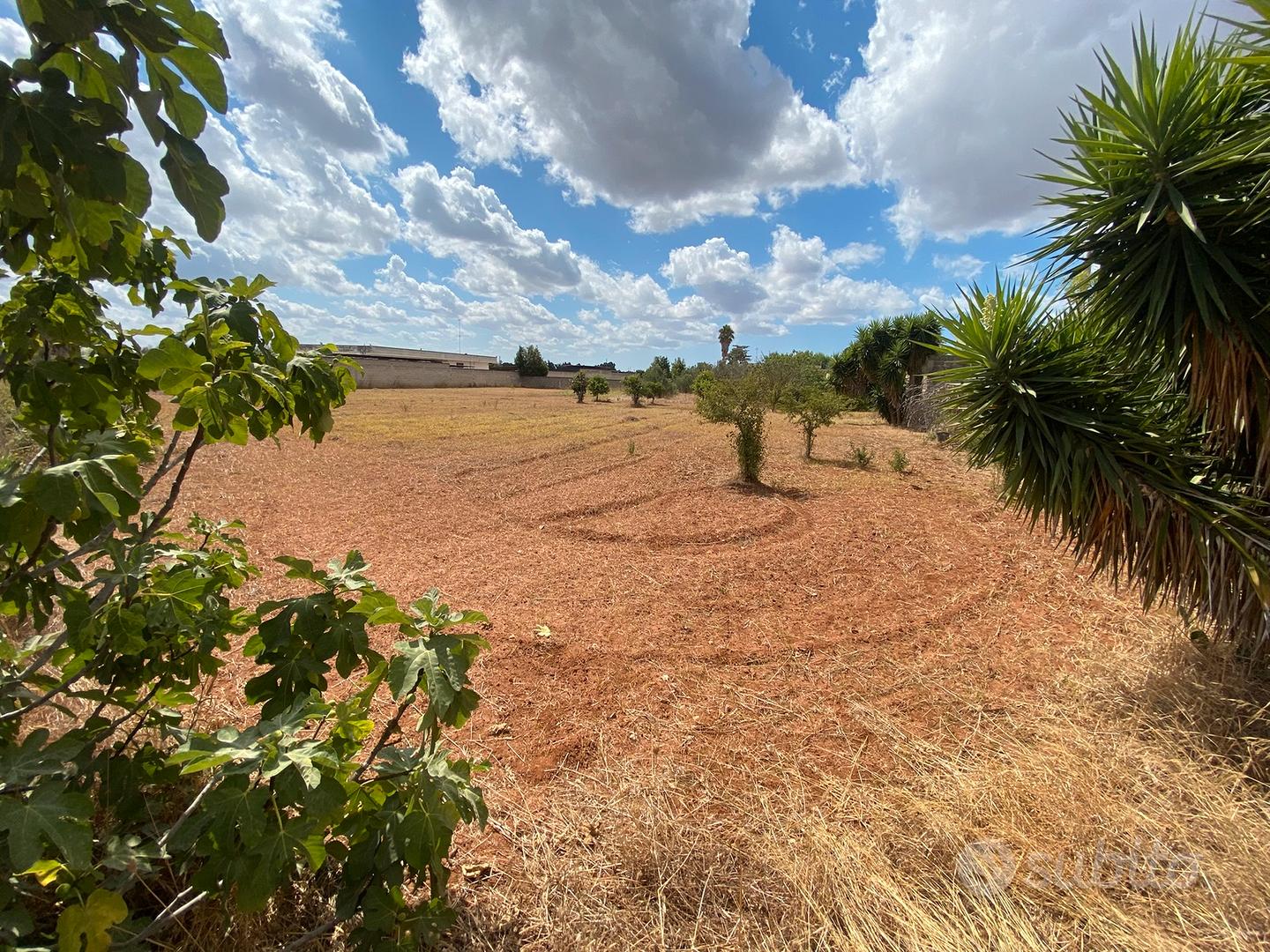 Terreno in agro di veglie interno circonvallazione - Vista 3