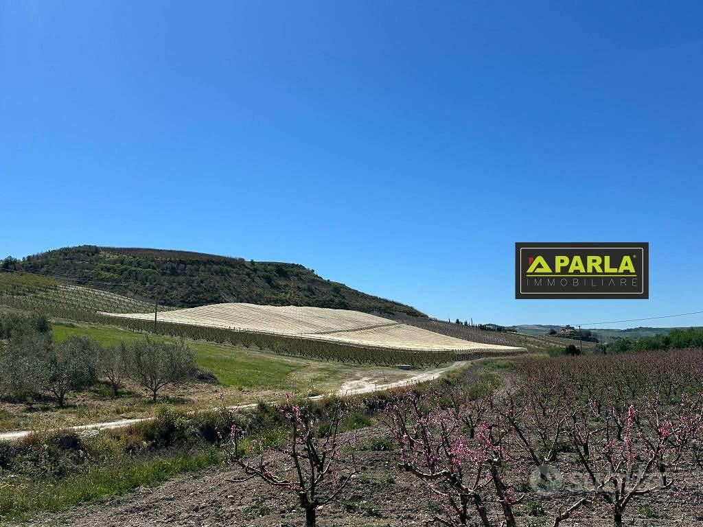 Terreno di 100000 m² a Delia - Vista 3