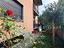 Immagine 17