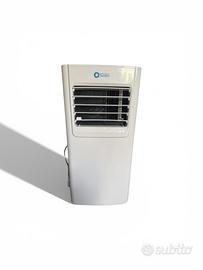 Climatizzatore pinguino da appartamento.