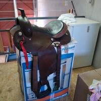 Cavallo, sella americana