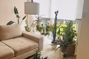 Villa a schiera di testa con giardino - Tricesimo