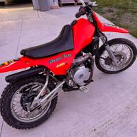 Mini Cross 80 2 tempi 14 - 12