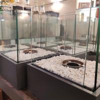 Caminetti a Bioetanolo 