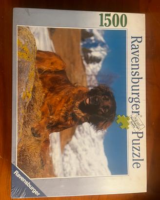 Ravensburger Puzzle