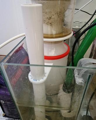 Skimmer Bubble Magus