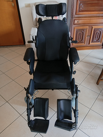Sedia a rotelle