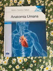 ANATOMIA UMANA