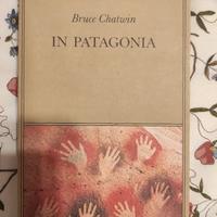 in Patagonia, Bruce Chatwin