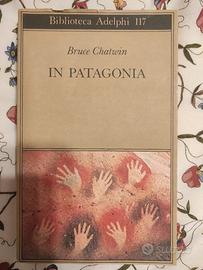 in Patagonia, Bruce Chatwin
