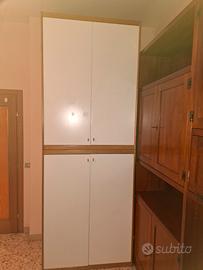 Armadio per camera  L 100 p 60 x  265 cm