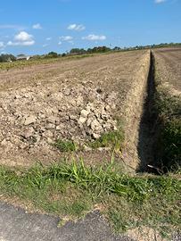 Terreno agricolo