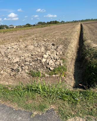 Terreno agricolo