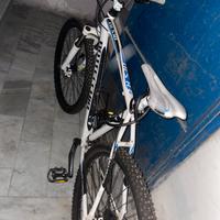 Bici Bottecchia
