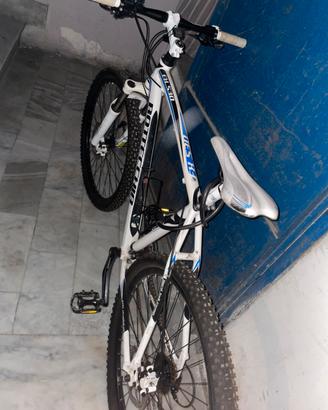 Bici Bottecchia