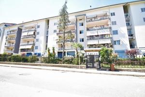 MANSARDA A POLLENA TROCCHIA