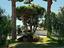 Immagine 18