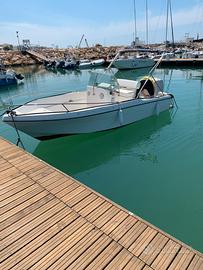 Barca con motore mercury 115hp
