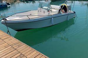 Barca con motore mercury 115hp