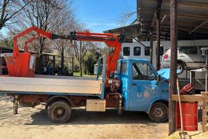 daily 35q con gru e cestello 