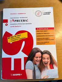 Aprueba! Spagnolo Grammatica A1-B2 Giol Loescher