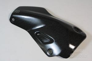 Paracalore In Carb. x Monster 1200R 96980851A