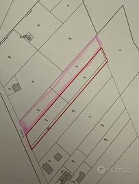 Terreno agricolo a Sandrigo