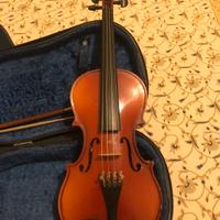 Violino 1/2 Reghin