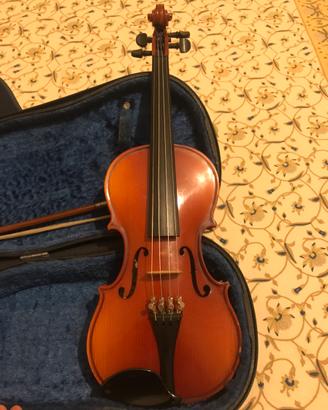 Violino 1/2 Reghin