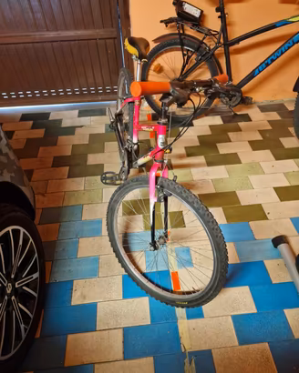 bicicletta 