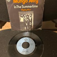 Vinile