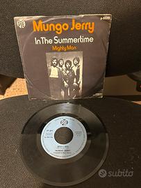 Vinile