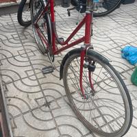 Bici da passeggio donna