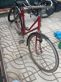 Bici da passeggio donna