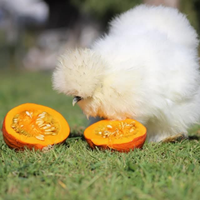 Moroseta e nane calzate