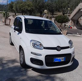 FIAT Panda 3^ serie 12/2015 1200cc GPL